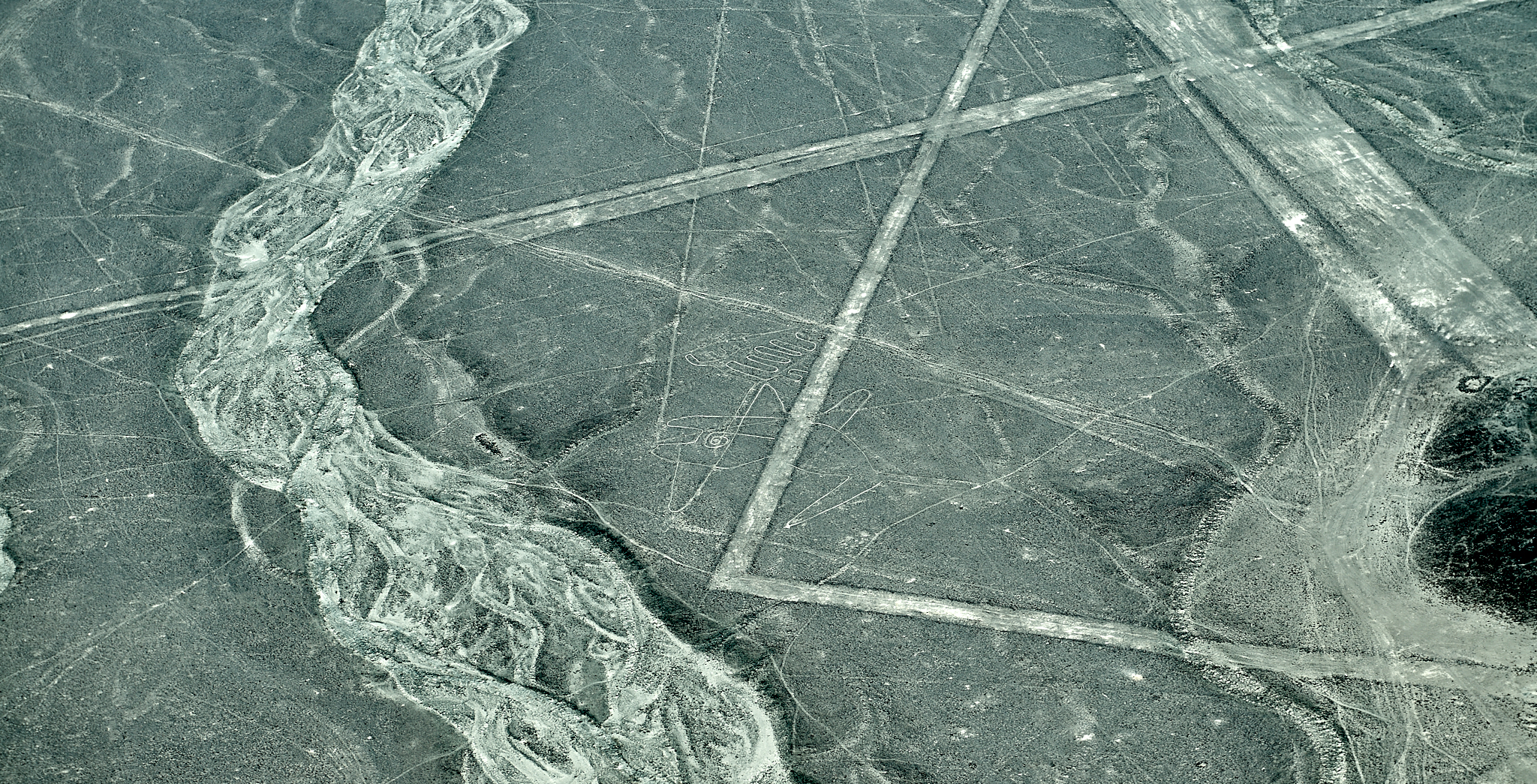 20200305 254 [페루] 나스카 라인